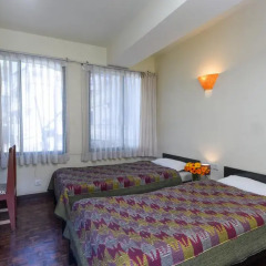 Отель Dondrub Guest House Непал, Катманду - отзывы, цены и фото номеров - забронировать отель Dondrub Guest House онлайн комната для гостей фото 3