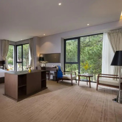 Terracotta Hotel & Resort Dalat 4* Номер Делюкс с различными типами кроватей фото 5