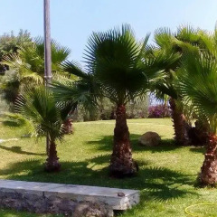 Отель B&B Asparano Сиракуза фото 18
