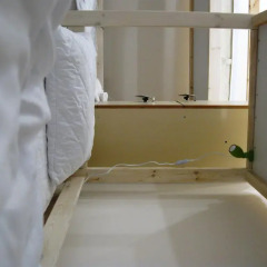 Гостиница Antihostel Forrest интерьер отеля