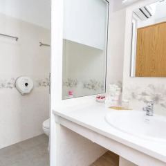 Camila Hotel 3* Номер Делюкс с различными типами кроватей фото 6