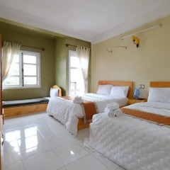 Golden Pine Hotel Номер Делюкс фото 4