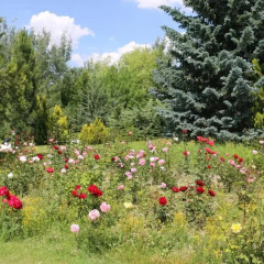 Kapadokya Lodge Турция, Невшехир - отзывы, цены и фото номеров - забронировать отель Kapadokya Lodge онлайн фото 3