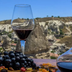 Aydinli Cave House Турция, Гёреме - отзывы, цены и фото номеров - забронировать отель Aydinli Cave House онлайн приотельная территория фото 2
