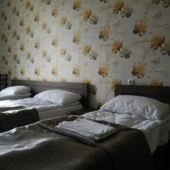 Hotel Mimino Стандартный номер с различными типами кроватей фото 5