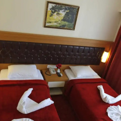 Forest Park Hotel 3* Стандартный номер с двуспальной кроватью фото 3