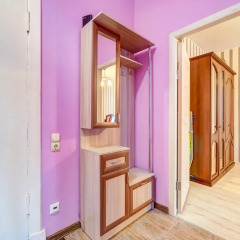 Апартаменты Ag Apartment Moskovsky 216 Санкт-Петербург удобства в номере