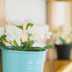 The Nomad Hostel удобства в номере
