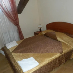 Отель Усадьба Плешанова 4* Номер категории Эконом фото 5