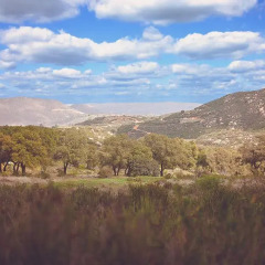 Отель Rancho Tecate Resort фото 8