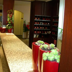 Hotel Astoria интерьер отеля
