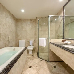 Sheraton Sao Paulo WTC Hotel 4* Стандартный номер с различными типами кроватей