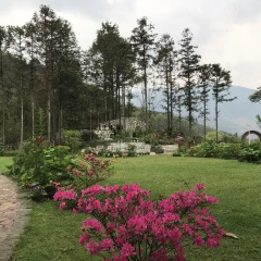 Отель Sapa Garden Bed and Breakfast Вьетнам, Шапа - отзывы, цены и фото номеров - забронировать отель Sapa Garden Bed and Breakfast онлайн фото 7