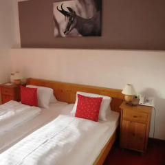 Hotel Gamshof 3* Стандартный номер с двуспальной кроватью фото 14