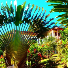 Отель Korovesi Sunshine Villas 4* Улучшенные апартаменты