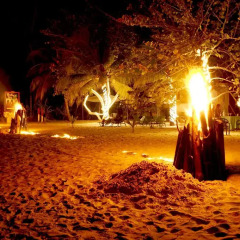 Отель Whistling Bird Resort развлечения