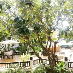 Отель Golden Pine Beach Resort & Spa 3* Улучшенный номер с различными типами кроватей фото 9