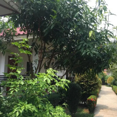 Отель Hana Lanta Resort Таиланд, Ланта - отзывы, цены и фото номеров - забронировать отель Hana Lanta Resort онлайн фото 7