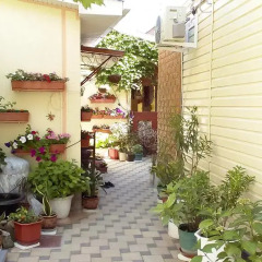 Гостиница Letuchaya Mish фото 3