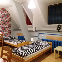 Hostel Universus i Apartament детские мероприятия