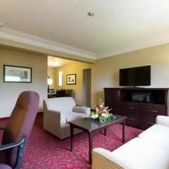 Отель Ramada Plaza by Wyndham Toronto Downtown Канада, Торонто - отзывы, цены и фото номеров - забронировать отель Ramada Plaza by Wyndham Toronto Downtown онлайн комната для гостей фото 5