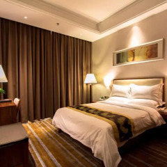Delin Hotel Шэньчжэнь комната для гостей фото 2