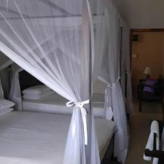 Отель Albert Guest House комната для гостей фото 3