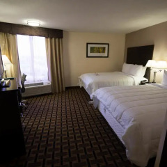 Отель Quality Inn Pasadena Houston 2* Стандартный номер с различными типами кроватей фото 5