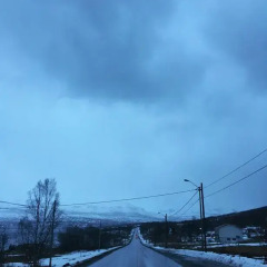 Отель Bustad Норвегия, Тромсе - отзывы, цены и фото номеров - забронировать отель Bustad онлайн фото 4
