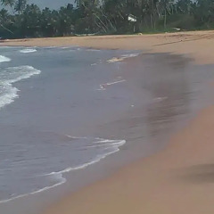 Отель Brian's Homestay Balapitiya пляж