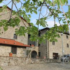 Отель Agriturismo Casa Passerini a Firenze 2* Стандартный номер фото 3