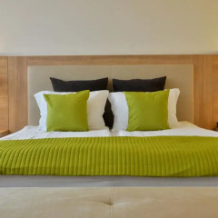 Suite Hotel Sofia 4* Стандартный номер с различными типами кроватей фото 4