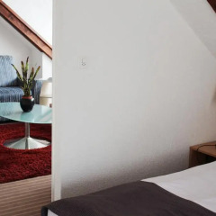 Olympia Hotel Zurich 3* Полулюкс с различными типами кроватей фото 4
