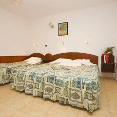 Family Hotel Orfei комната для гостей фото 4
