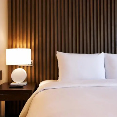 Hotel ENTRA Gangnam 4* Номер Премьер с двуспальной кроватью