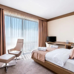 Арфа Парк-отель 5* Семейная студия с двуспальной кроватью фото 2