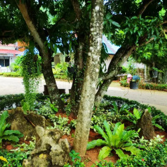 Отель The Krabi Forest Homestay 2* Стандартный номер с различными типами кроватей фото 9