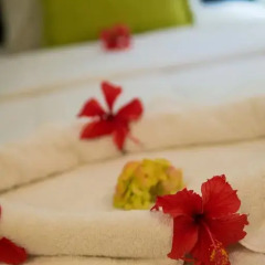 The MT Hotel 3* Стандартный номер с 2 отдельными кроватями фото 12