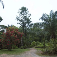 Отель Rio Santiago Nature Resort фото 2