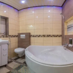 Гостиница Теремок Заволжский Апартаменты с разными типами кроватей фото 43