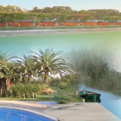 Отель Devesa Gardens Camping & Resort фото 4