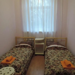 Гостиница АВИТА Стандартный номер с 2 отдельными кроватями фото 6