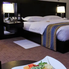 Dubai International Airport Terminal Hotel 5* Представительский номер с различными типами кроватей фото 4
