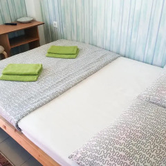Гостевой Дом Олимпийский Парк 3* Стандартный номер с двуспальной кроватью фото 5