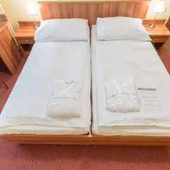 Spa Hotel Vltava 3* Номер Комфорт с двуспальной кроватью