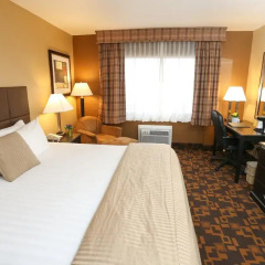 Отель Quality Inn & Suites Denver Stapleton 2* Стандартный номер разные типы кроватей
