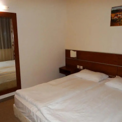 Апартаменты Apartment Pere Toshev Bansko Студия фото 4