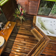 Отель Chachagua Rainforest Ecolodge 3* Стандартный номер с различными типами кроватей фото 5