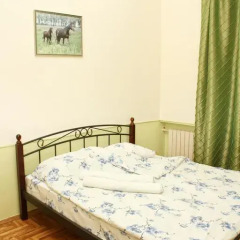 Olive Hostel Стандартный номер с различными типами кроватей фото 2