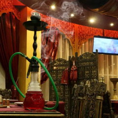 India Palace Hotel развлечения